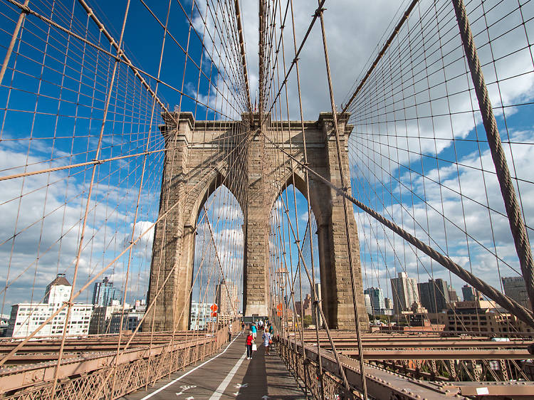 Astrologer In New York